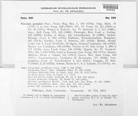Puccinia graminis image